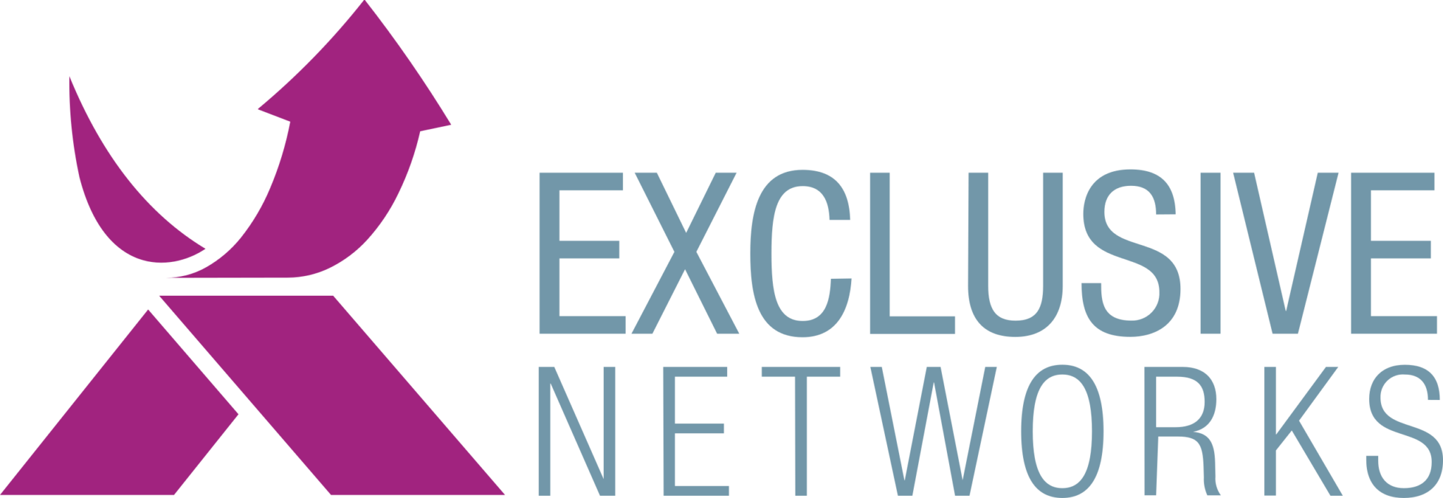 Exclusive Networks logo