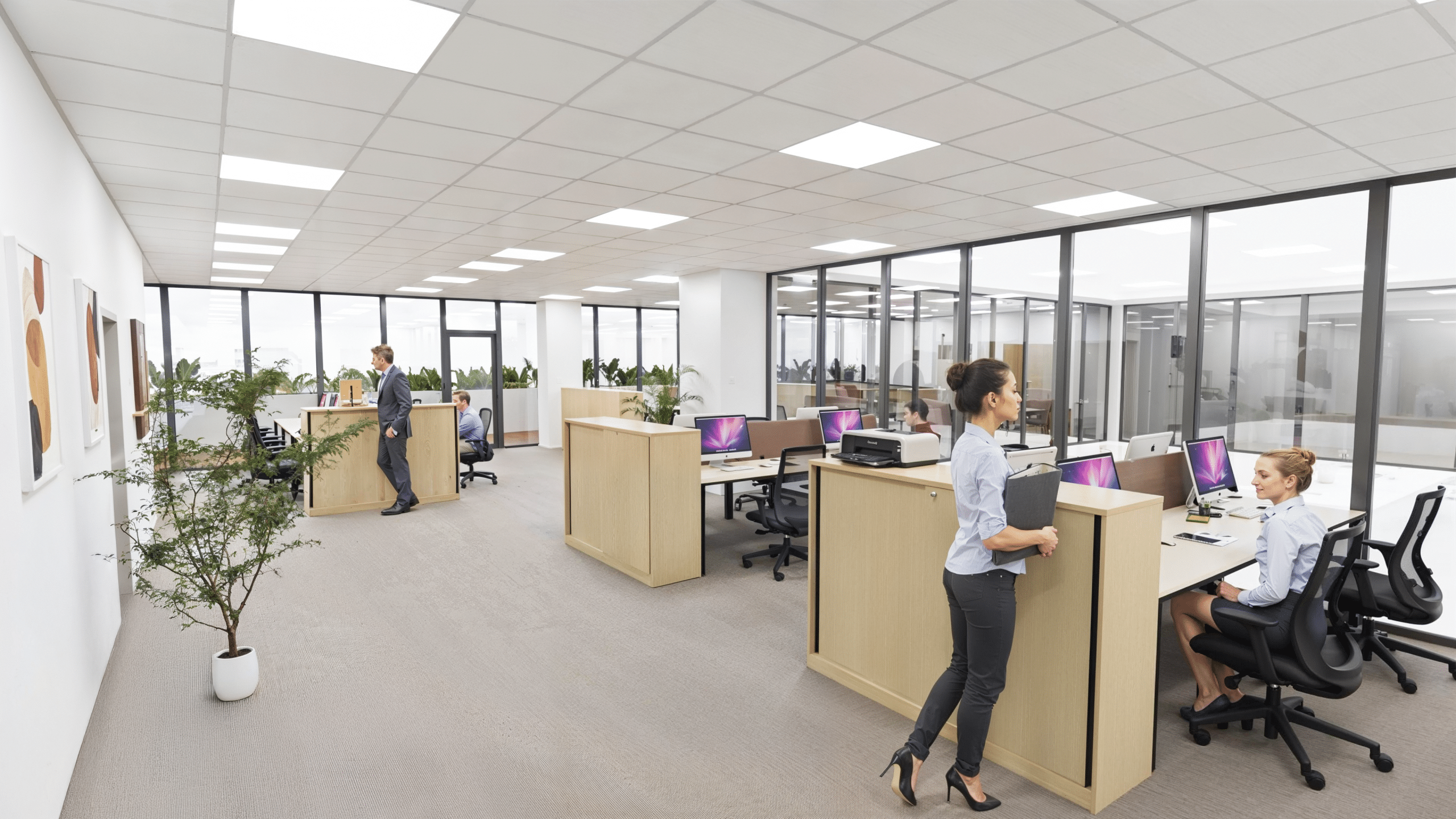 Espace open space - Wilup