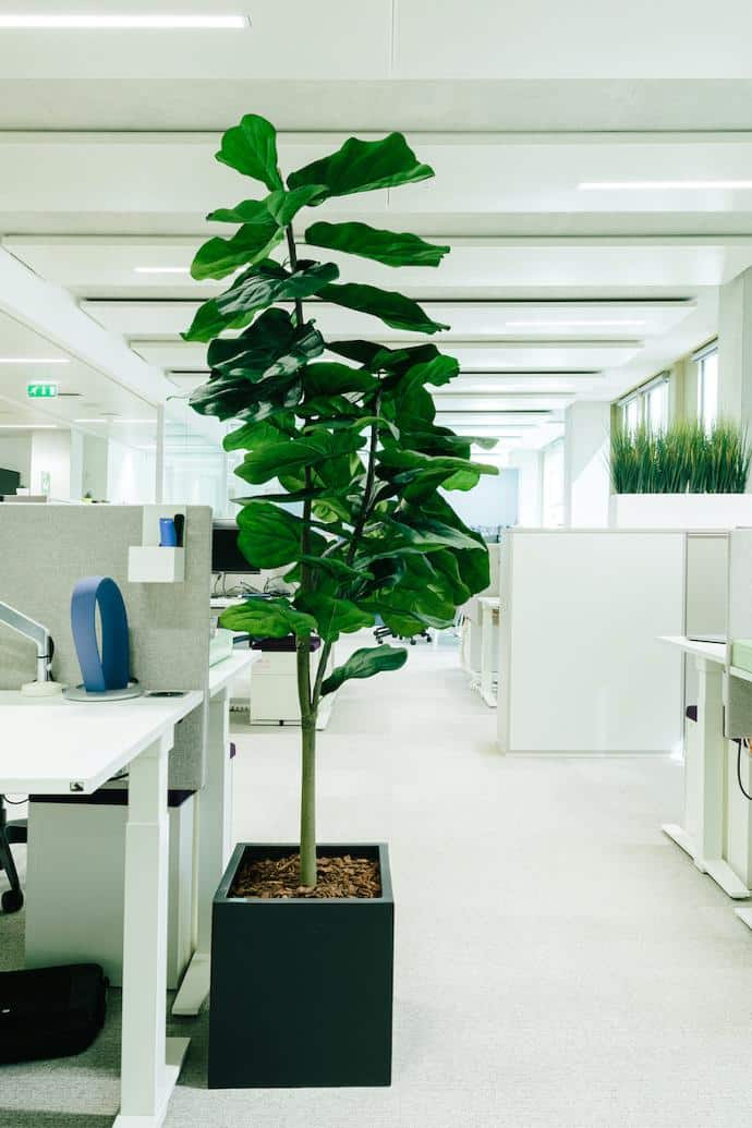 Plante artificielle de bureau