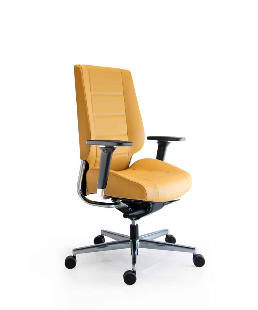 Fauteuil de travail 24/24