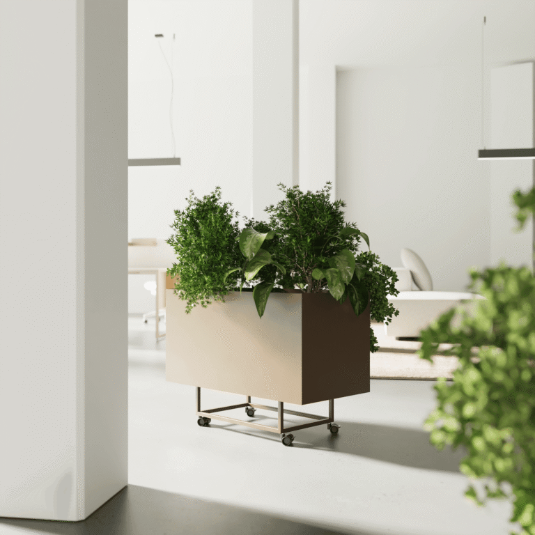 Jardinière d'intérieur