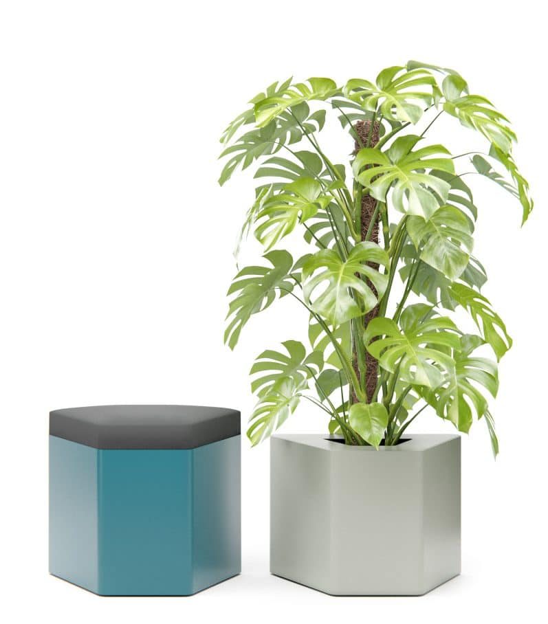 Jardinière d'intérieur