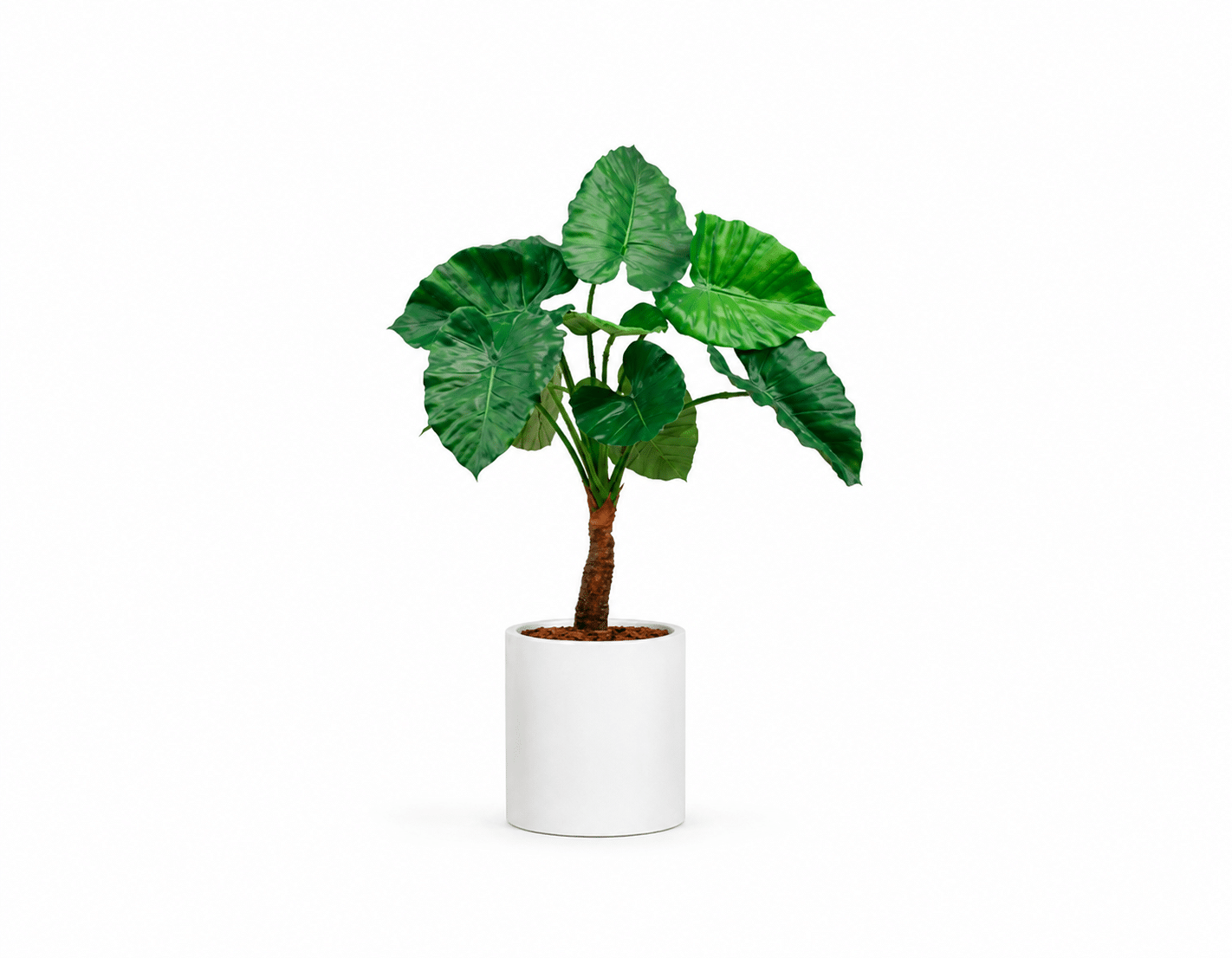 Plante artificielle de bureau