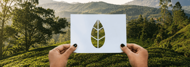 Réduire son empreinte carbone